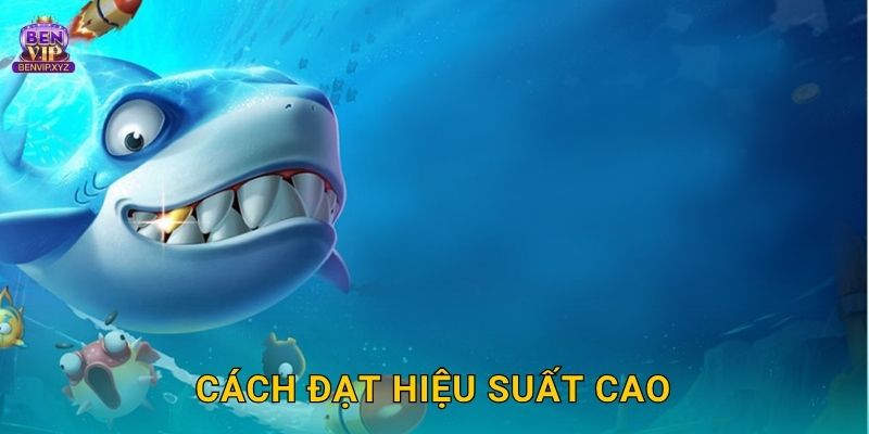 Thunder Dragon sấm sét – thách thức hoàng gia tại Benvip 3 Cách đạt hiệu suất cao