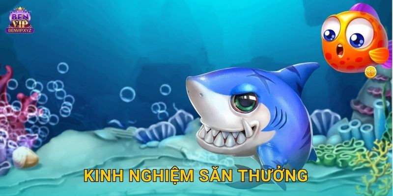 Kinh nghiệm săn thưởng