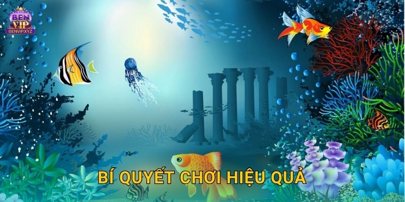 Bí quyết chơi hiệu quả