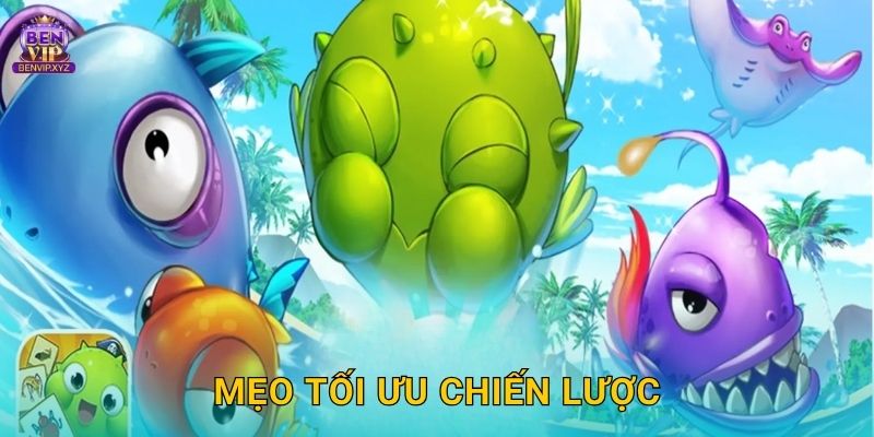 Mẹo tối ưu chiến lược