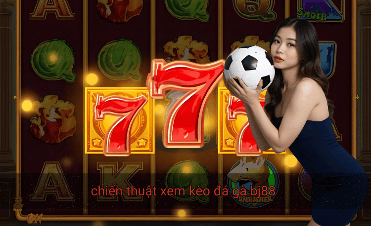 Chiến thuật xem kèo đá gà BJ88